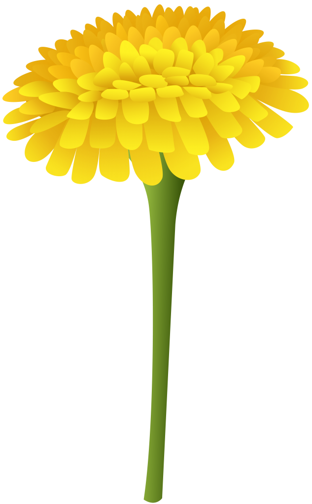 dandelion-clipart-20.png